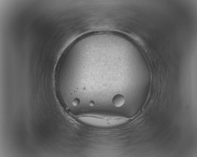 X0000067521279200604211807