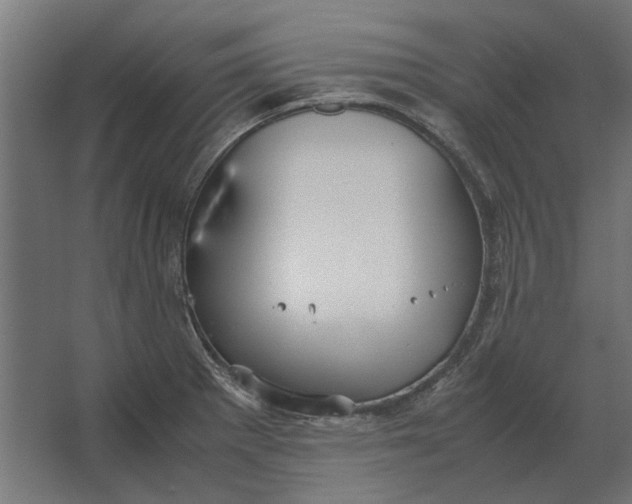 X0000067521281200604211807