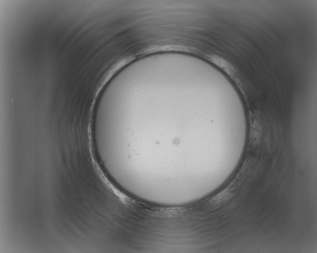 X0000067521282200604211807