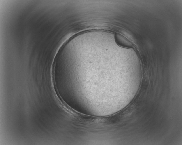 X0000067521283200604211807