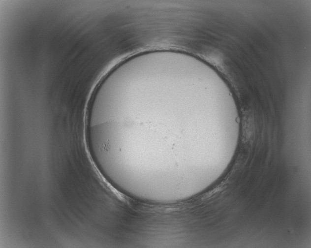 X0000067521286200604211807