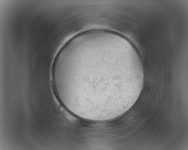 X0000067521287200604211807