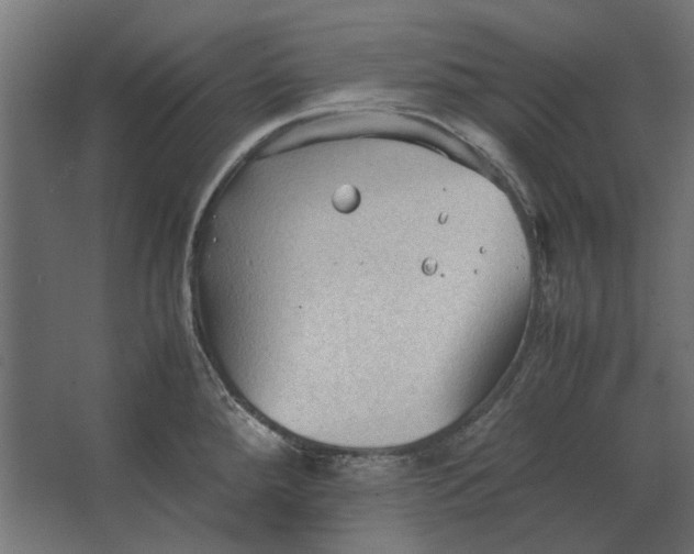 X0000067521288200604211807