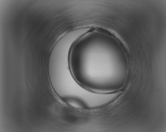 X0000067521289200604211807