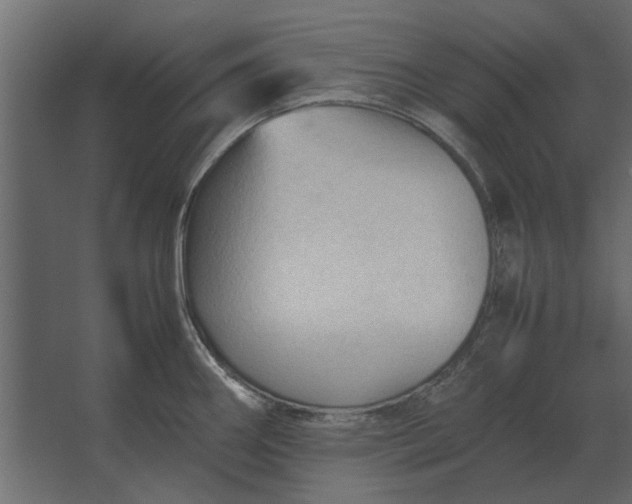 X0000067521290200604211807