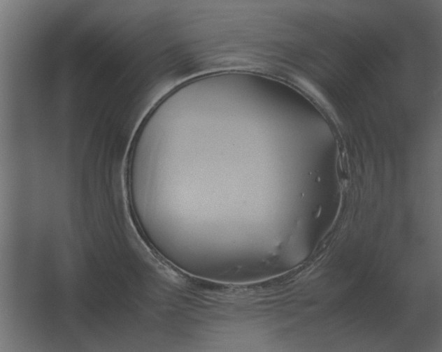 X0000067521291200604211807