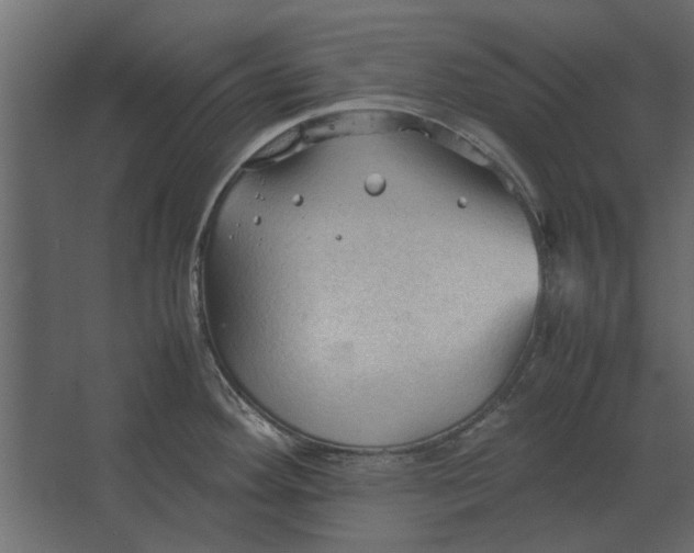 X0000067521292200604211807