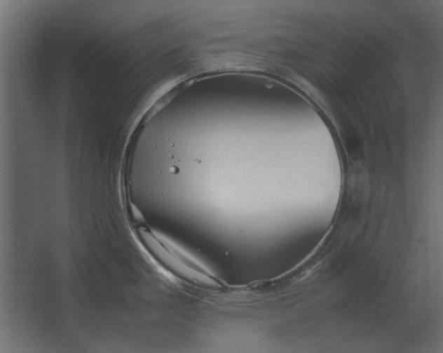 X0000067521293200604211807