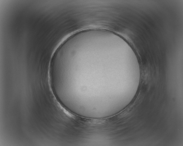 X0000067521294200604211807