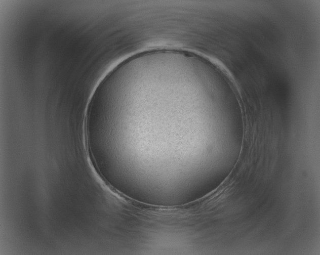 X0000067521295200604211807