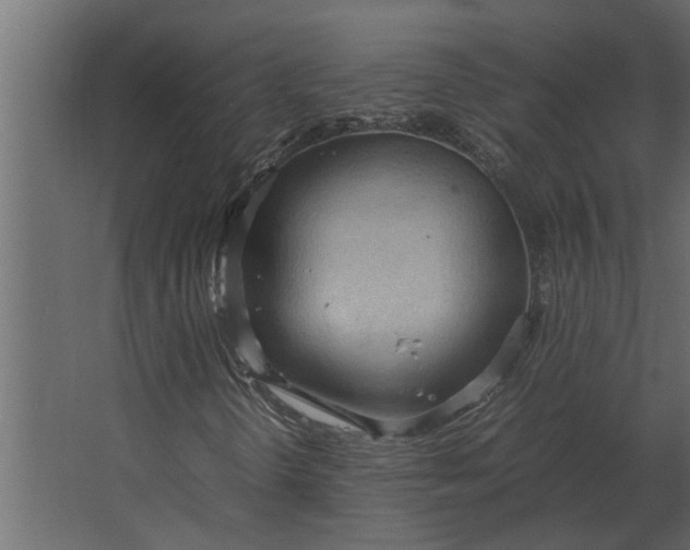 X0000067521298200604211806