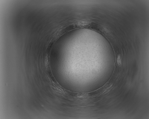 X0000067521299200604211806