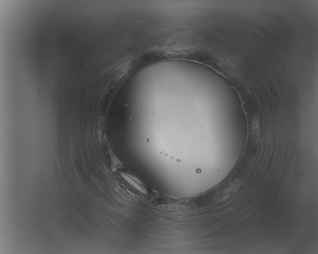 X0000067521300200604211806