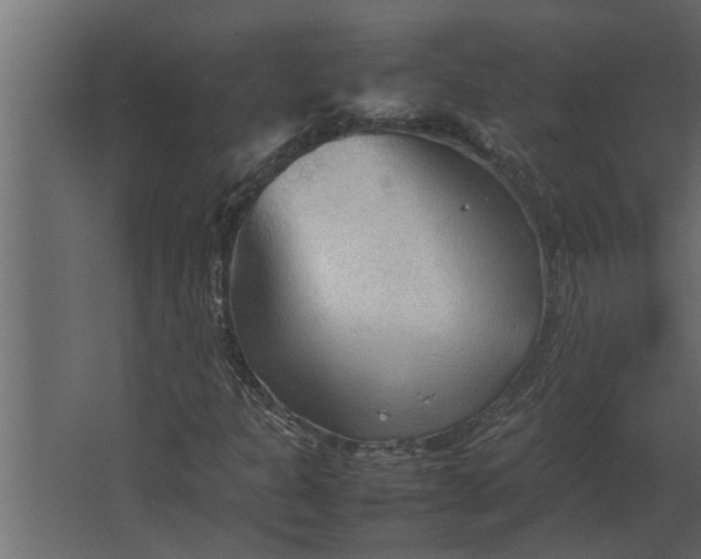 X0000067521301200604211806