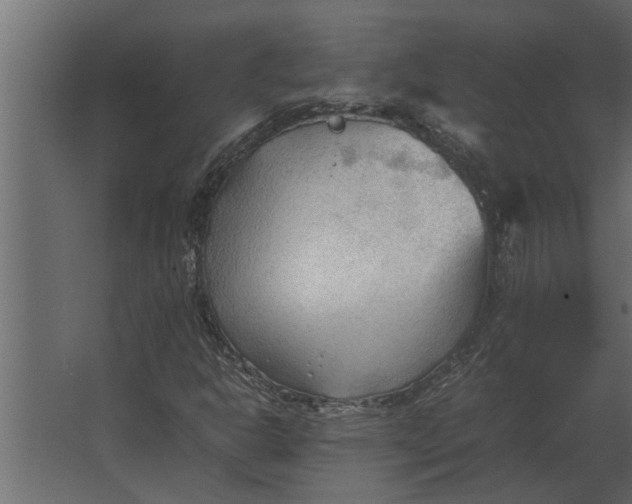 X0000067521302200604211806