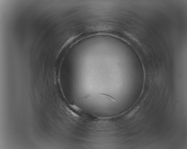 X0000067521306200604211806