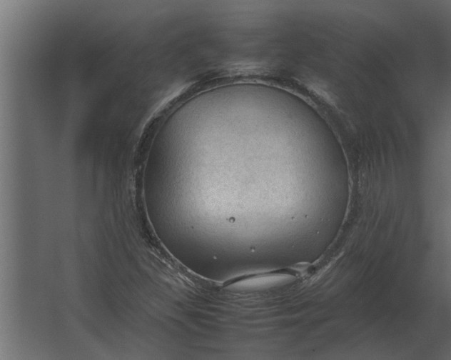 X0000067521309200604211806