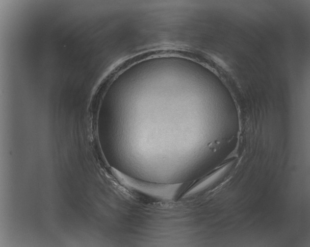 X0000067521310200604211806