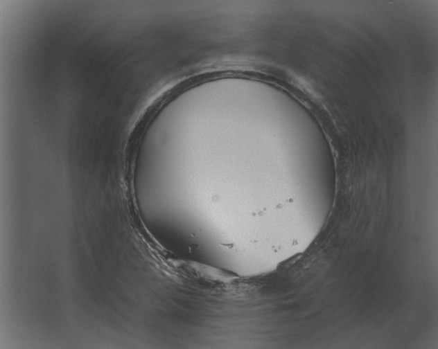 X0000067521312200604211806