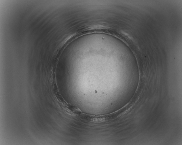 X0000067521313200604211806