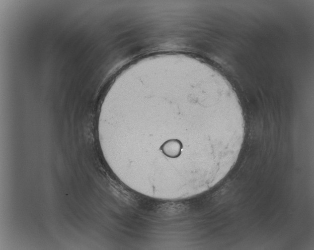 X0000067521314200604211806