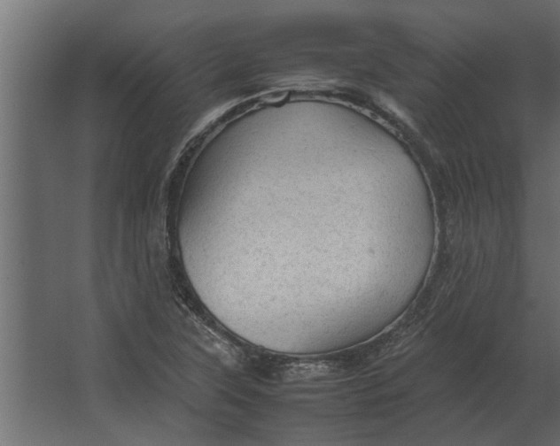 X0000067521315200604211806