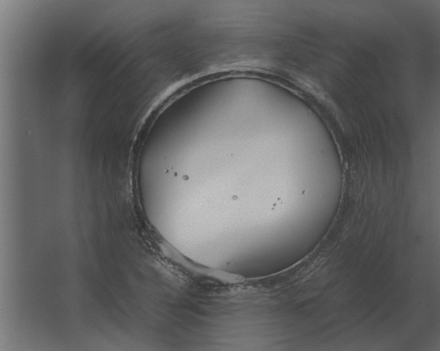 X0000067521316200604211806