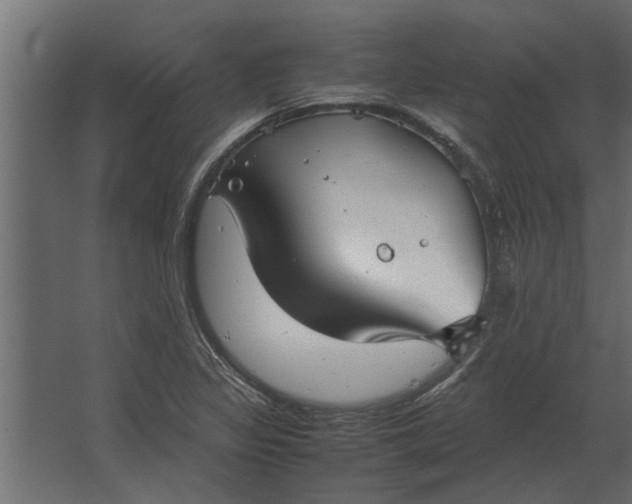 X0000067521317200604211806