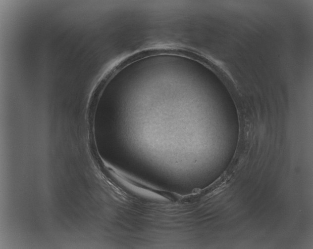 X0000067521319200604211807