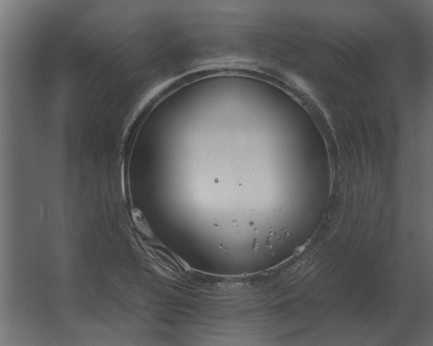 X0000067521320200604211807