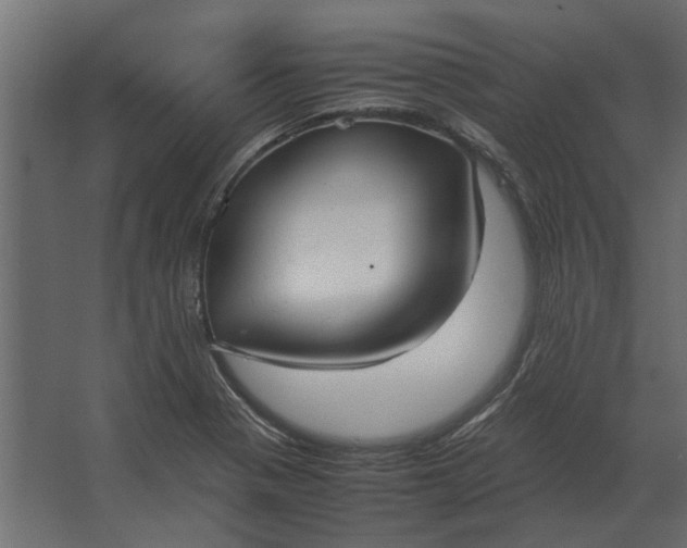 X0000067521321200604211807