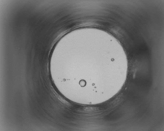 X0000067521322200604211807