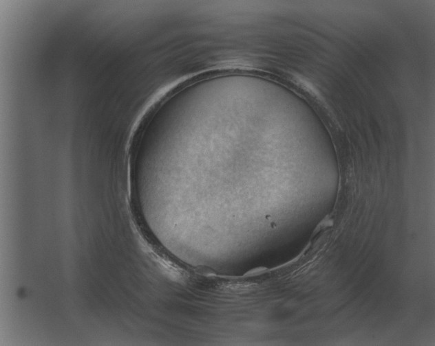 X0000067521323200604211807