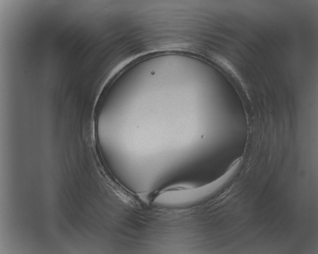 X0000067521324200604211807