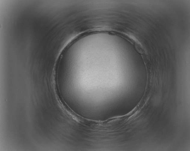 X0000067521325200604211807