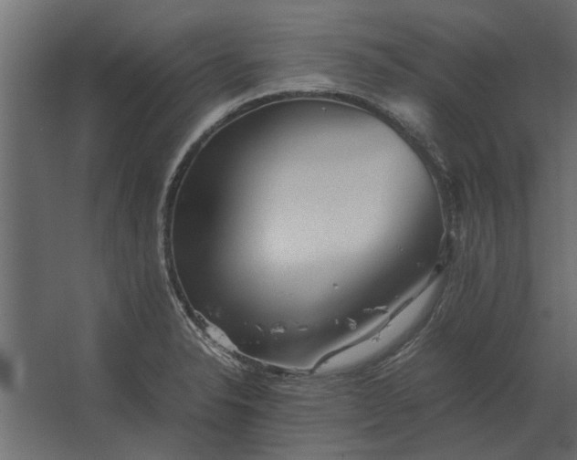 X0000067521326200604211807