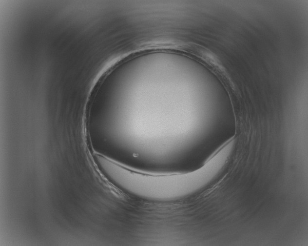 X0000067521328200604211807