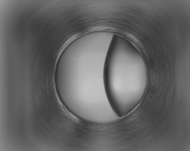 X0000067521330200604211807