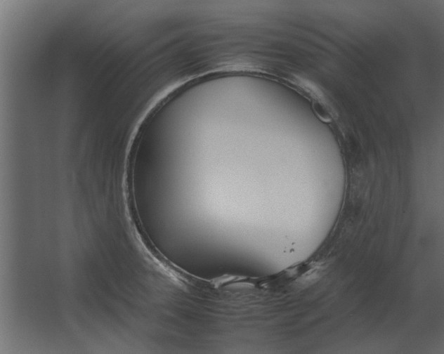 X0000067521331200604211807