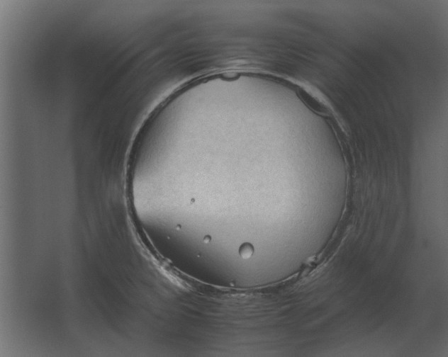 X0000067521333200604211807