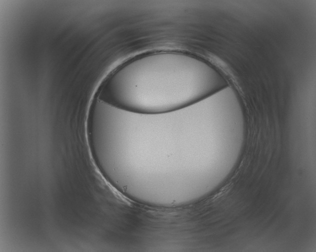 X0000067521334200604211807