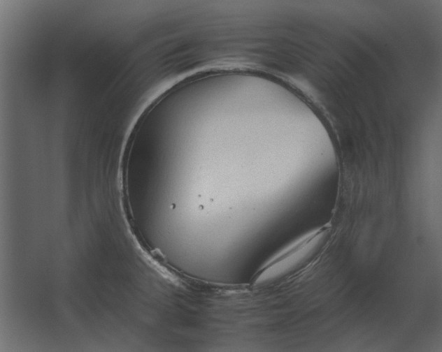 X0000067521335200604211807