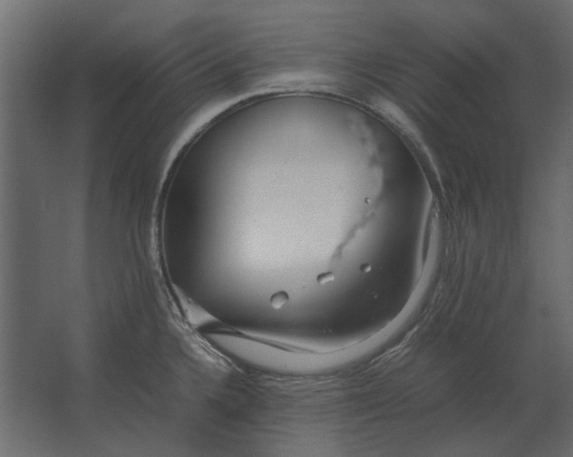 X0000067521336200604211807