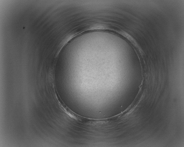 X0000067521337200604211807