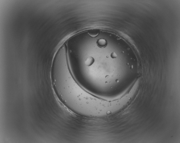 X0000067521338200604211807