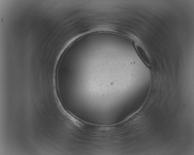 X0000067521339200604211807