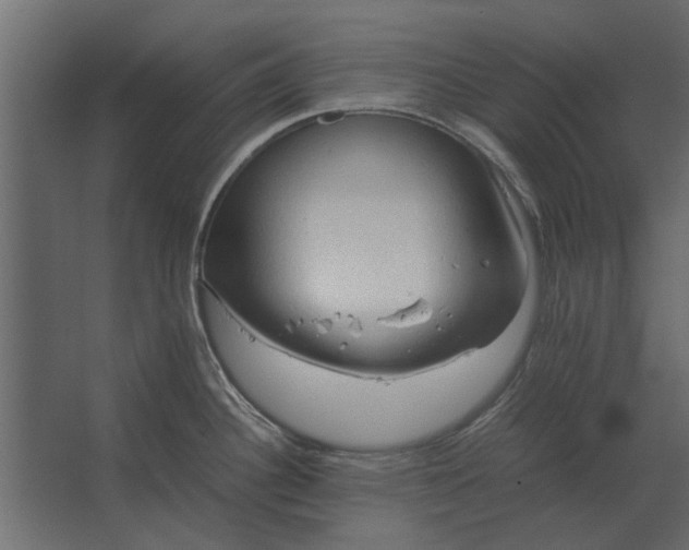 X0000067521340200604211807