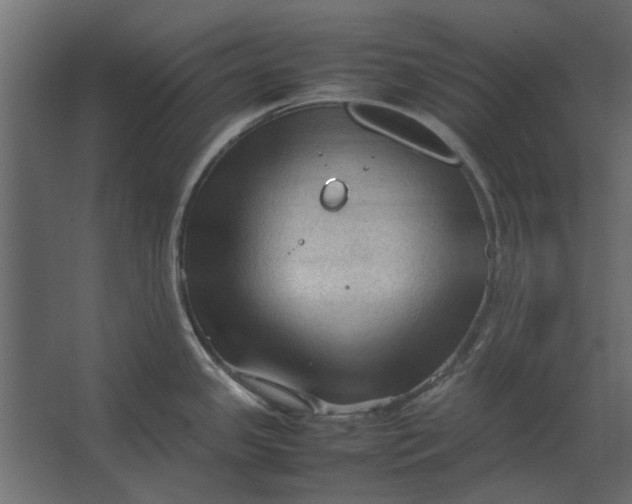 X0000067521341200604211807