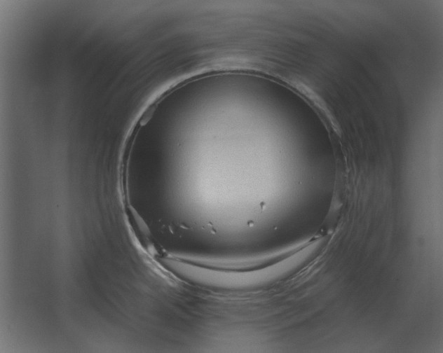 X0000067521342200604211807