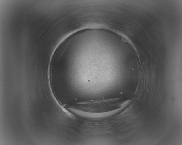 X0000067521343200604211807